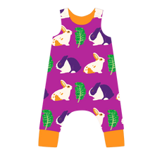 Load image into Gallery viewer, Pikolo Rabbit &amp; Kale Lined Dungarees
