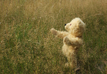 Load image into Gallery viewer, Raspberry Republic Pineapple Punch Dress